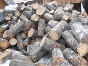 Дрова. Цену снижено! #1558334