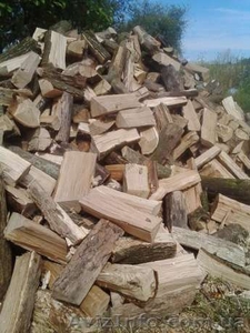Дрова Луцьк продаж доставка #1559900