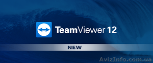 TeamViewer 12 Corporate в аренду. #1561192