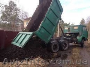 Коровий или конский перегной. Только у нас и только сейчас! #1558332