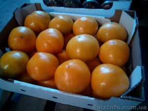 продам Розовый и Желтый тепличный помидор #1557380