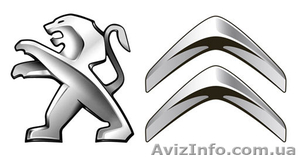 Citroen Berlingo,  Jumper,  Jumpy,  Peugeot Expert,  Boxer,   Partner #1500091