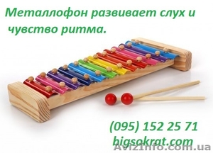 Металлофон на 12 тонов #1559603