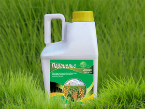 Фунгіцид Парацельс #1558695