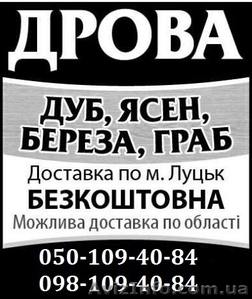 Дрова торфобрикет Луцьк найкраща ціна  #1559895