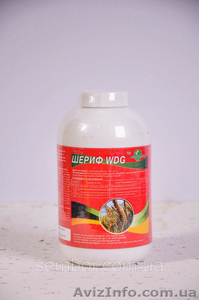 Шериф (гранстар) #1558700