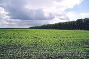 Продам участок 1, 48га 25 Чапаевской дивизии / за сити 25 #1563895