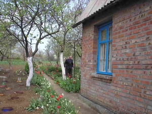 Земельный участок с домом в Керчи Крым #1567307