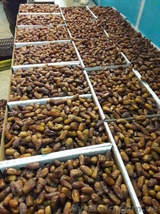 Финики Тунис (Прямые поставки)  #1567131