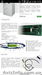 Продам инкубатор Nest-3000 DUET #1566035
