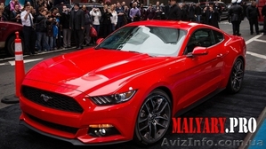 Малярка. Киев. Профессиональный сервис #1565882