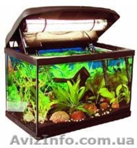 аквариум с крышкой 50 л #1566165