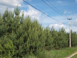 Участок в коттеджном городке на Житомирской трассе. #1569300