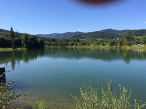 СРОЧНО!!! Продам форелевое хозяйство в Ивано-Франковская область. #1563036