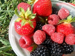 требуется бригадир #1567110