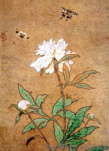 Продам саженцы Пиона и много других растений (опт от 1000 грн).  #1564310