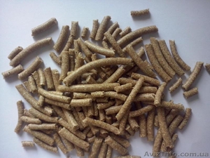 Амарантова макуха від виробника #1575118