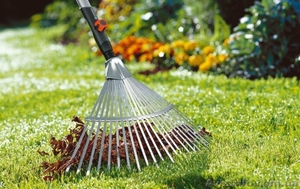 Комплексное и разовое обслуживание сада. #1572421