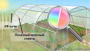 теплицы из поликарбоната в Днепре #1571943