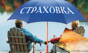 Автостраховка,  Все виды страхования #1571080