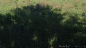 Продам участок 10 соток ул. Любашевская / Черноморка2 / Червоный хутор #1576431