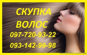 Продать Волосы от 40 см. Цена Волос. Купим волосы дорого. #1575634