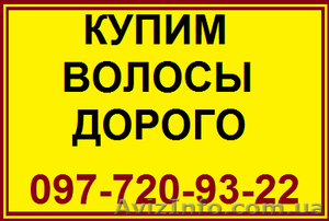 Волосы. Продажа волос в Николаеве. Скупка волос. Продать волосы дорого. Цена вол #1576434