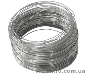 Фехраль в Одессе.  #1576453