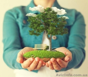 Приватизація садової ділянки. Приватизація дачної ділянки #1579514