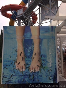 Готовый бизнес Doctor Fish #1577651
