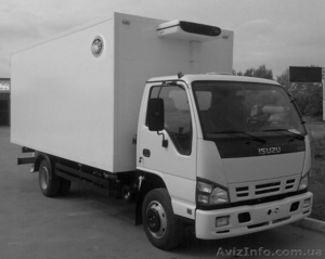 ISUZU NQR 75 P изотерм #1576919
