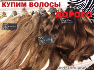 Купим волосы. Скупка волос в салоне  красоты. Вся Украина #1578894