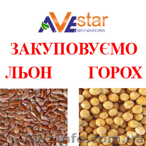 Дубайська компанія закуповує: Льон – 3000 т,  Горох жовтий – 2000 т. #1580911