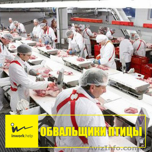 Обвальщики птицы #1579013