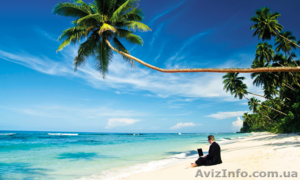 Обучение и создание бизнеса под ключ на Amazon с гарантией прибыли #1581987