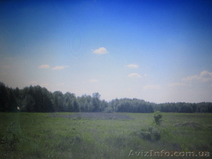 Продам зем. участок ОСГ 6, 5 га (75 км. от Киева). Брусилов #1581672