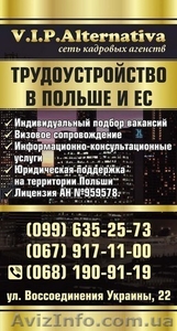 Трудоустройство в Польше и ЕС. #1581938