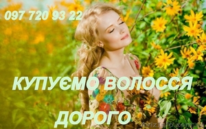 Купуємо волосся. Продати волосся дорого. Вся Україна. #1581715