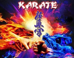 Набір у секцію кіокушинкай карате. #1581308