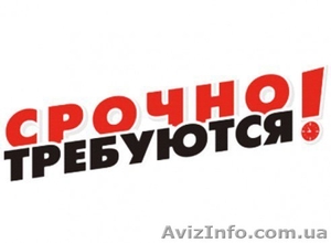 Требуется Мастер-прораб.  #1581175