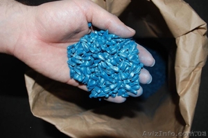 Насіння соняшника гібрид  КАРАТ,  НЕО,  ТОЛЕДО,  БАРСА #1589284