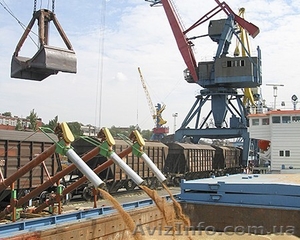 Куплю отруби пшеничные (на постоянной основе) #1587548