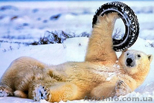 Резина/шины/диски БУ с Европы. #1590012