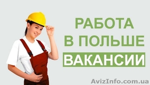 Работа и трудоустройство в Польше. #1586388