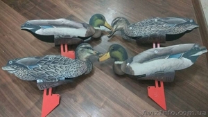 Подсадные чучела для охоты #1589362