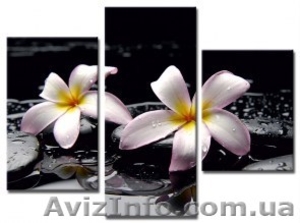 Модульные картины оптом в Украине от производителя #1586928