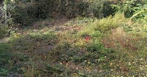 Продам участок 11 соток Александра Невского / 10 ст. Б. Фонтана #1595054