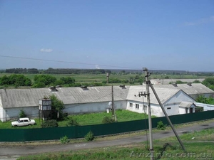 Продам птицеферму. #1592839