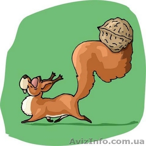 Продам ядро грецкого ореха (бабочка и 1/4) #1593817