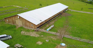 Продажа Ферми Виробниче Приміщення 1200 м2 Земельна Ділянка 8 Га #1594747